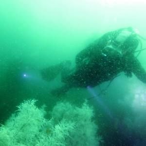 Meet your Posher, Paige